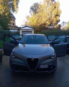 Usato 2017 Alfa Romeo Stelvio 2.1 Diesel 179 CV (17.900 €)