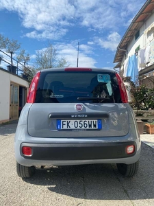 Usato 2017 Fiat Panda Cross 1.2 Benzin 69 CV (9.500 €)