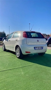 Usato 2017 Fiat Punto Evo 1.2 Diesel 95 CV (8.500 €)