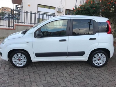 Usato 2018 Fiat Panda 1.2 Diesel 80 CV (6.500 €)