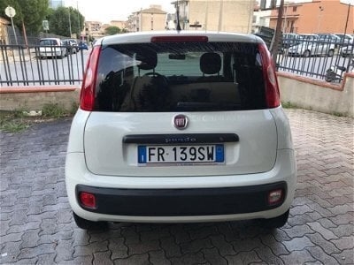 Usato 2018 Fiat Panda 4x4 1.2 Diesel 80 CV (6.999 €)