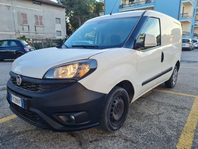 Usato 2019 Fiat Doblò 1.2 Diesel 95 CV (11.400 €)