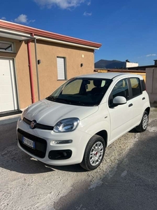 Usato 2019 Fiat Panda 0.9 CNG_Hybrid 71 CV (6.999 €)