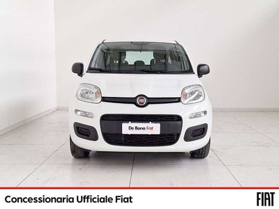 Usato 2019 Fiat Panda 1.2 Benzin 69 CV (10.990 €)