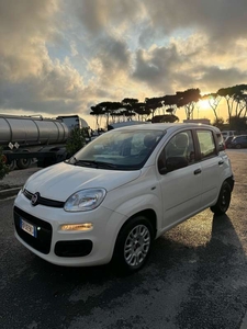 Usato 2019 Fiat Panda 1.2 Benzin 69 CV (6.900 €)