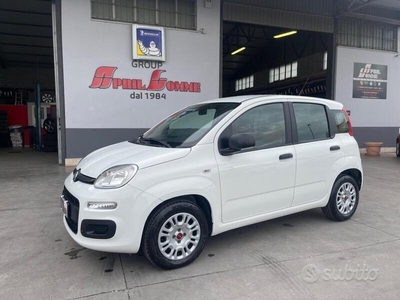 Usato 2019 Fiat Panda 1.2 Benzin 69 CV (8.990 €)