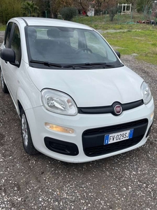 Usato 2019 Fiat Panda 1.2 Diesel 80 CV (9.700 €)