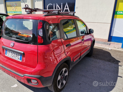 Usato 2019 Fiat Panda 1.2 LPG_Hybrid (14.999 €)