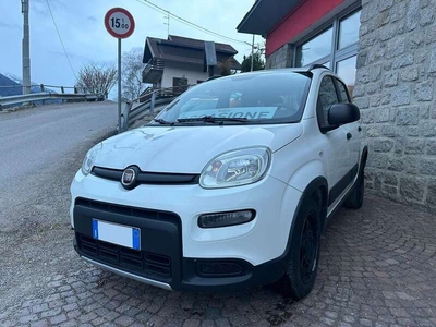 Usato 2019 Fiat Panda 4x4 0.9 Benzin 86 CV (8.500 €)