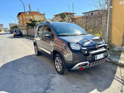 Usato 2019 Fiat Panda Cross 0.9 Benzin 86 CV (14.400 €)