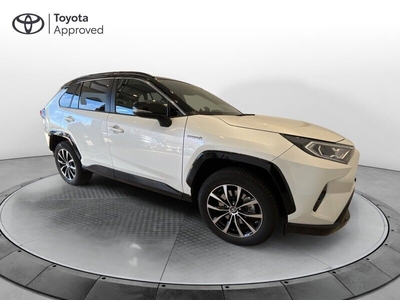 Usato 2019 Toyota RAV4 Hybrid 2.0 Diesel 218 CV (24.750 €)