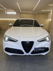 Usato 2020 Alfa Romeo Stelvio 2.1 Diesel 209 CV (30.300 €)