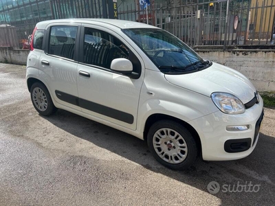 Usato 2020 Fiat Panda 1.2 Benzin 69 CV (9.698 €)