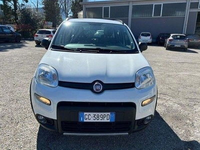 Usato 2020 Fiat Panda 4x4 0.9 Benzin 87 CV (13.000 €)