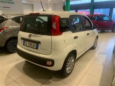 Usato 2021 Fiat Panda Cross 1.0 El_Hybrid 69 CV (10.800 €)