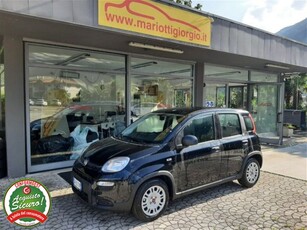 Fiat Panda 1.0 firefly hybrid s&s 70cv 5p.ti usato