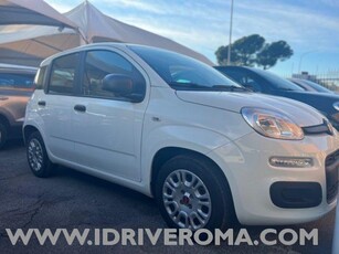 FIAT Panda 1.0 FireFly S&S Hybrid Benzina