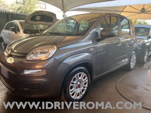 FIAT Panda 1.0 FireFly S&S Hybrid Benzina