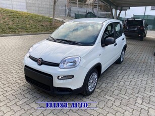 FIAT Panda 1.0 FireFly S&S Hybrid KM 0 Elettrica/Benzina