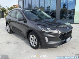 Ford Kuga 1.5 EcoBlue 120 CV 2WD Connect Pieve di Cento