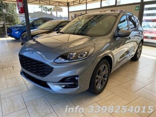 Ford Kuga 1.5 EcoBlue 120 CV 2WD ST-Line nuovo