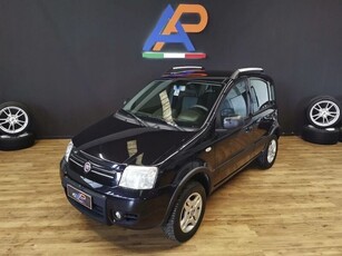 Usato 2010 Fiat Panda 4x4 1.2 Diesel 69 CV (3.900 €)