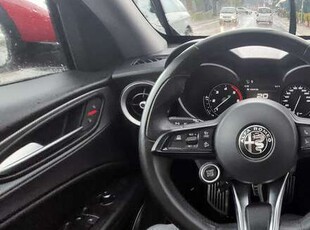 Usato 2021 Alfa Romeo Stelvio 2.1 Diesel 190 CV (33.000 €)