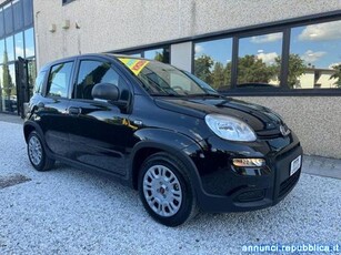 Fiat Panda 1.0 FireFly Hybrid 70cv S&S KmØ + Pack City Light Calenzano