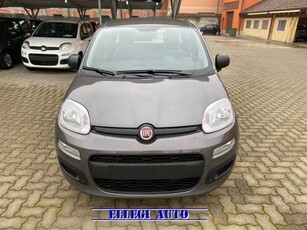 FIAT Panda 1.0 FireFly S&S Hybrid KM 0 Elettrica/Benzina