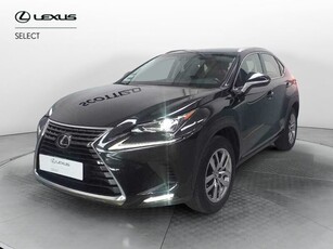 Lexus NX 1ª serie Hybrid 4WD Executive