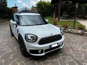 MINI Mini Countryman F60 - 2020