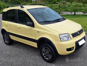 Usato 2007 Fiat Panda 4x4 1.2 Diesel 69 CV (6.900 €)