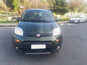 Usato 2014 Fiat Panda 4x4 1.2 Diesel 75 CV (9.600 €)