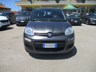 Usato 2018 Fiat Panda 1.2 LPG_Hybrid 69 CV (7.990 €)