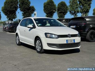 Volkswagen Polo 1.2 5 porte Trendline Massarosa