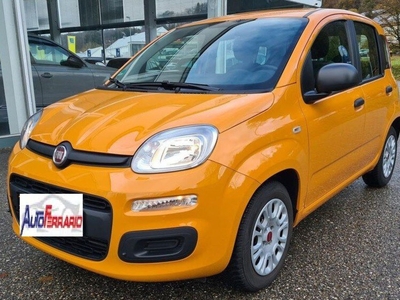 Fiat Panda 1.0 FireFly S&S Hybrid Easy usato