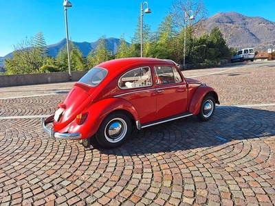 VW Maggiolino D'Epoca vetro piatto - 1964