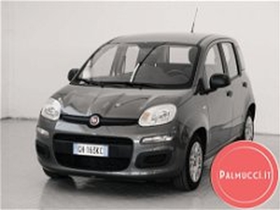 Fiat Panda 1.0 FireFly S&S Hybrid Easy del 2022 usata a Prato