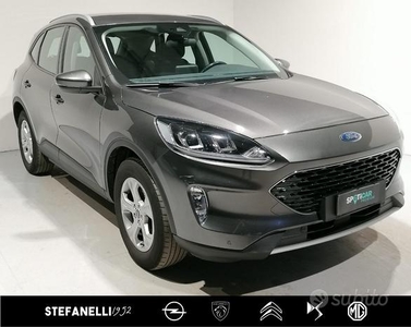 FORD Kuga 1.5 EcoBoost 120 CV 2WD Connect