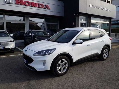 Ford Kuga 1.5 EcoBoost 120 CV 2WD Titanium usato