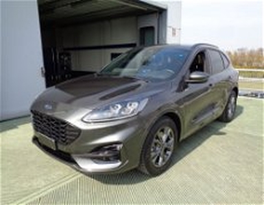 Ford Kuga 2.5 Plug In Hybrid 225 CV CVT 2WD ST-Line del 2021 usata a Belluno