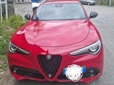 Usato 2019 Alfa Romeo Stelvio 2.1 Diesel 190 CV (30.000 €)