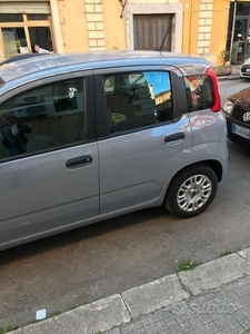 Usato 2020 Fiat Punto 1.2 Benzin 69 CV (11.000 €)