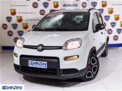 Fiat Panda 1.0 FireFly S&S Hybrid City Cross del 2022 usata a Calusco d'Adda