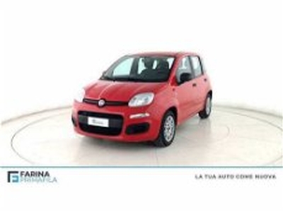 Fiat Panda 1.0 FireFly S&S Hybrid Launch Edition del 2021 usata a Pozzuoli