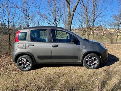 Fiat Panda Cross Cross 1.0 FireFly S&S Hybrid usato