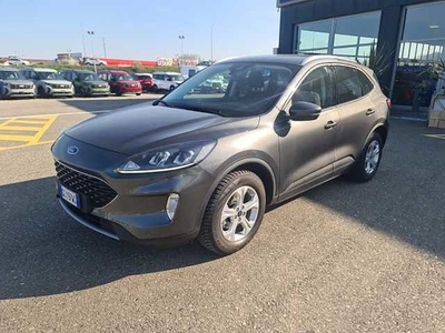 Ford Kuga 1.5 EcoBoost 120 CV 2WD usato