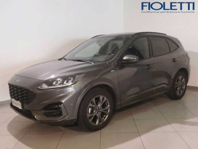 Ford Kuga 2.0 EcoBlue 150 CV aut. AWD ST-Line da Fioletti .