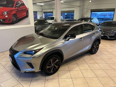 Lexus NX Hybrid 4WD Sport usato