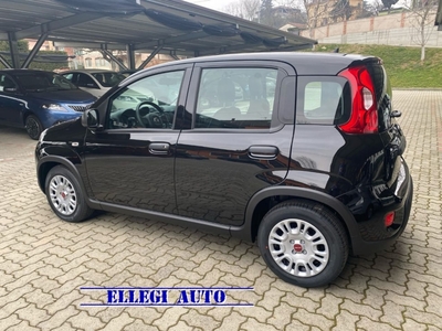 Fiat Panda 1.0